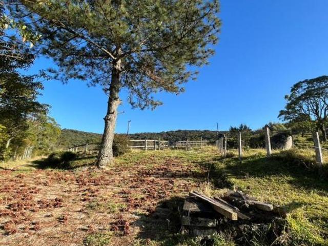 Sítio e chácara venda em Região Imediata de Bragança Paulista, Bom Jesus dos Perdões