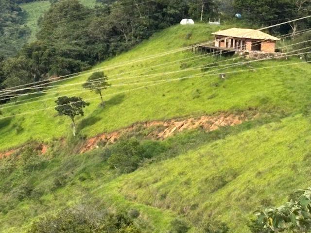 Sítio e chácara venda em Região Imediata de Amparo, Monte Alegre do Sul
