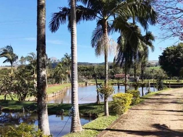 Sítio e chácara venda em Monte Sião, Região Geográfica Intermediária de Pouso Alegre