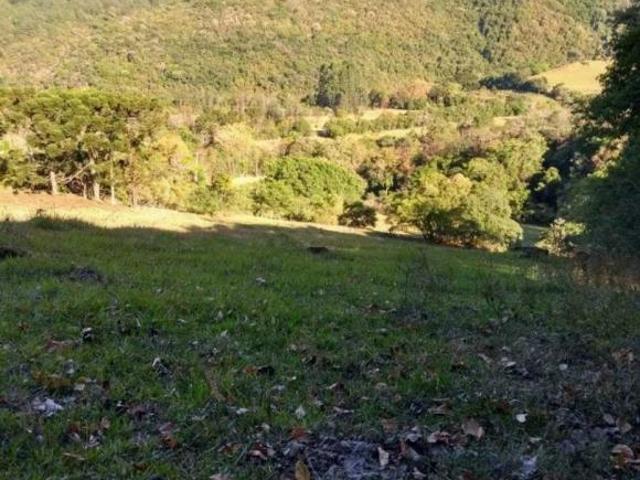 Sítio e chácara venda em Região Geográfica Imediata de Caxias do Sul, Canela