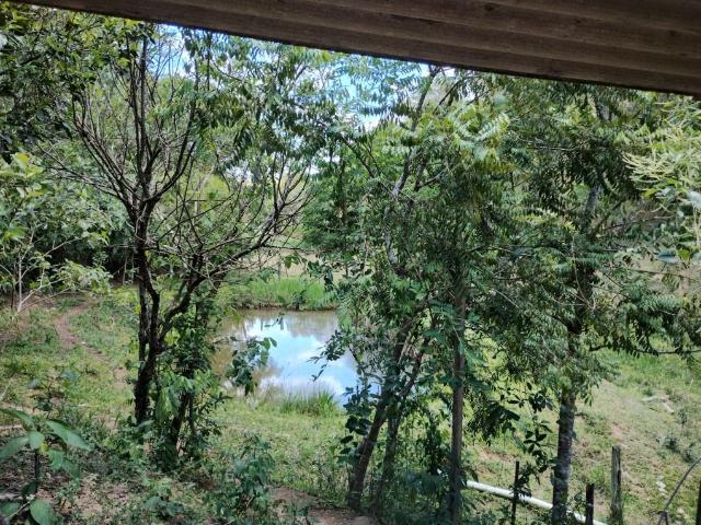 Sítio e chácara venda em Região Imediata de Amparo, Monte Alegre do Sul