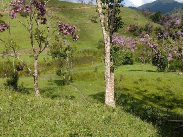 Sítio e chácara venda em Região Imediata de Taubaté-Pindamonhangaba, Região Metropolitana do Vale do Paraíba e Litoral Norte