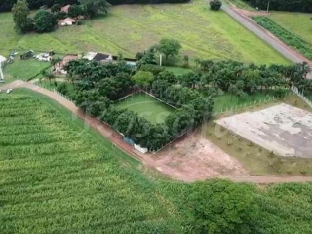 Sítio e chácara venda em Região Imediata de São José do Rio Preto, Região Metropolitana de São José do Rio Preto