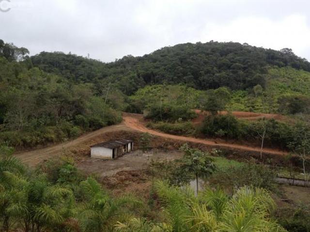 Sítio e chácara venda em Juquiá, Juquia