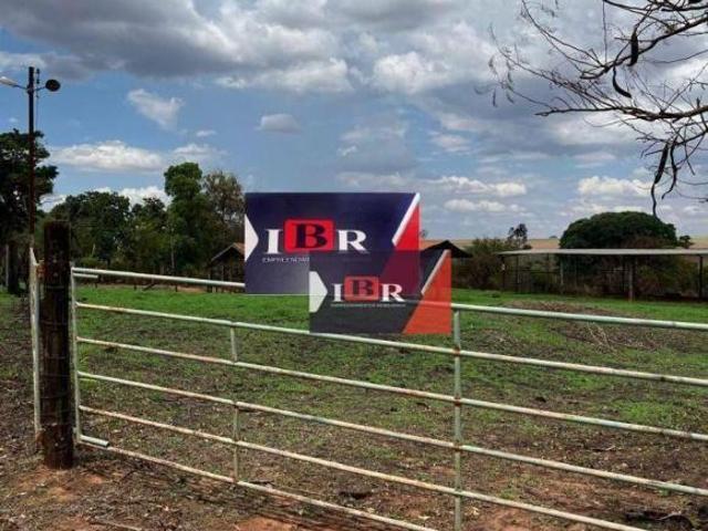 Sítio e chácara venda em Região Imediata de São José do Rio Preto, Região Metropolitana de São José do Rio Preto