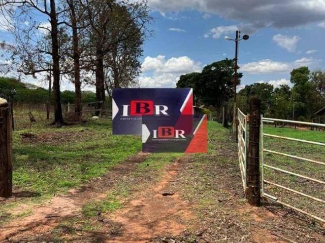 Sítio e chácara venda em Região Imediata de São José do Rio Preto, Região Metropolitana de São José do Rio Preto
