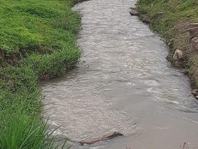 Sítio e chácara venda em Região Geográfica Imediata de Pouso Alegre, Ouro Fino