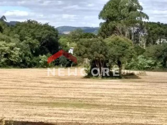 Sítio e chácara venda em Paim Filho