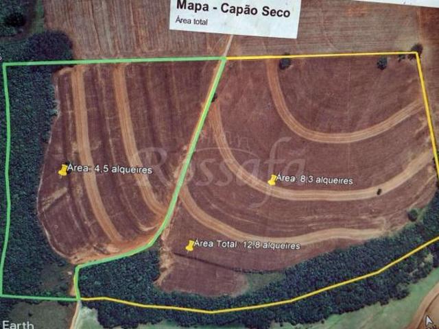 Sítio e chácara venda em Palmital, Região Geográfica Intermediária de Marília