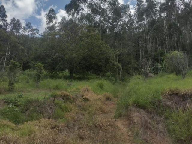 Sítio e chácara venda em Região Imediata de São José dos Campos, Região Metropolitana do Vale do Paraíba e Litoral Norte