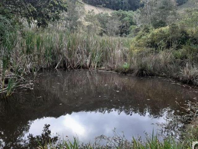 Sítio e chácara venda em Região Imediata de São José dos Campos, Região Metropolitana do Vale do Paraíba e Litoral Norte