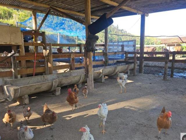 Sítio e chácara venda em Região Imediata de São José dos Campos, Região Metropolitana do Vale do Paraíba e Litoral Norte