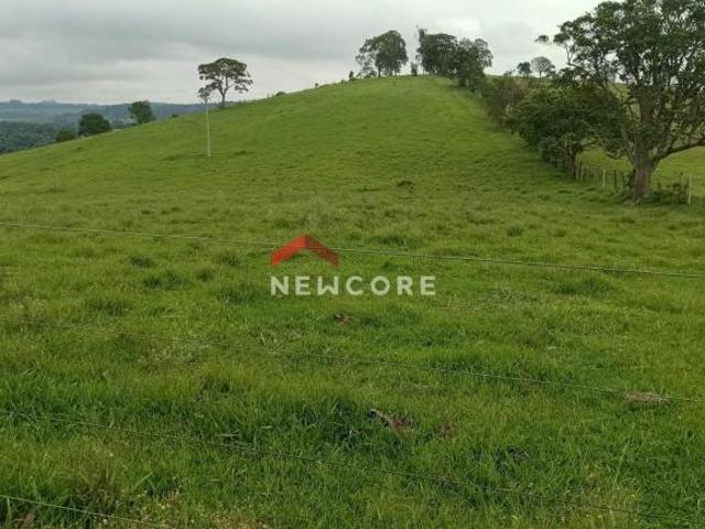 Sítio e chácara venda em Pardinho