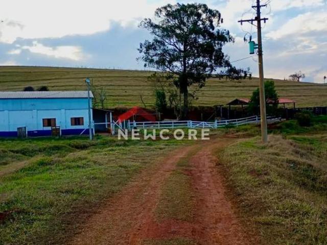 Sítio e chácara venda em Alto Pardinho, Pardinho