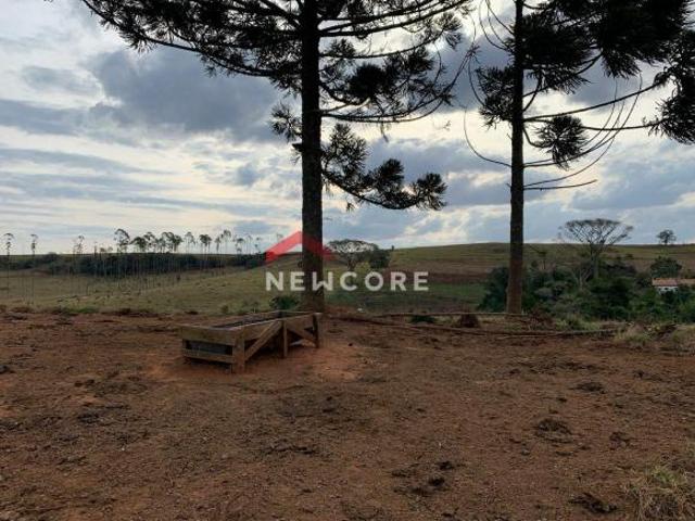 Sítio e chácara venda em Pardinho