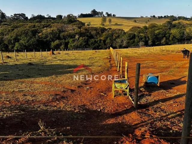 Sítio e chácara venda em Região Imediata de Botucatu, Pardinho
