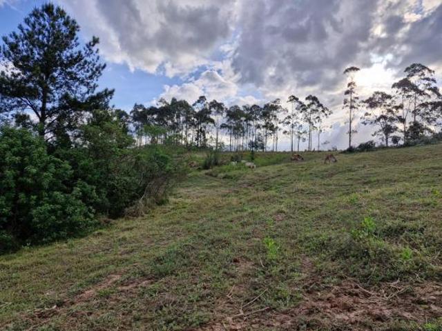 Sítio e chácara venda em Região Geográfica Imediata de Taquara - Parobé - Igrejinha, Região Metropolitana de Porto Alegre