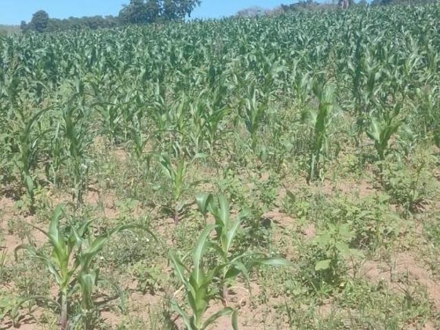 Sítio e chácara venda em Região Imediata de Sorocaba, Região Metropolitana de Sorocaba