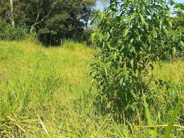 Sítio e chácara venda em Região Geográfica Imediata de Oliveira, Piedade dos Gerais