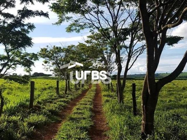 Ponto Comercial venda em Região Geográfica Imediata de Piracanjuba, Piracanjuba