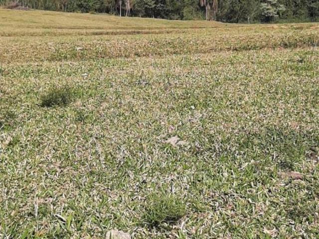 Sítio e chácara venda em Região Imediata de Sorocaba, Região Metropolitana de Sorocaba