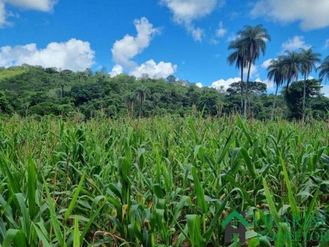 Sítio e chácara venda em Região Geográfica Imediata de Belo Horizonte, Região Metropolitana de Belo Horizonte
