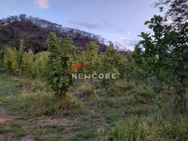 Sítio e chácara venda em Região Imediata de São Carlos, Ribeirão Bonito