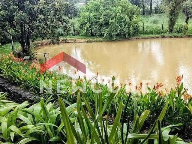 Sítio e chácara venda em Região Geográfica Imediata de Belo Horizonte, Região Metropolitana de Belo Horizonte