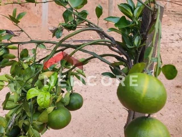 Sítio e chácara venda em Justinópolis, Contagem