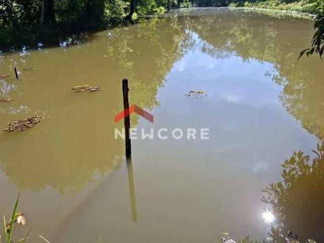 Sítio e chácara venda em Região Geográfica Imediata de Novo Hamburgo - São Leopoldo, Região Metropolitana de Porto Alegre