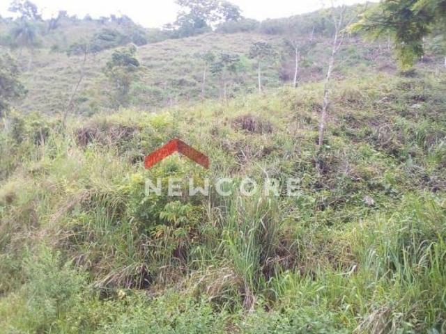 Sítio e chácara venda em Região Geográfica Imediata de Curitiba, Região Metropolitana de Curitiba