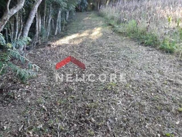 Sítio e chácara venda em Região Geográfica Imediata de Curitiba, Região Metropolitana de Curitiba