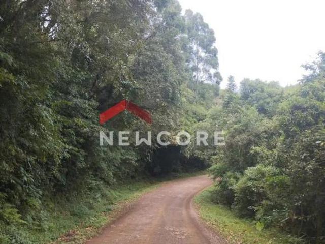 Sítio e chácara venda em Região Geográfica Imediata de Caxias do Sul, São Francisco de Paula