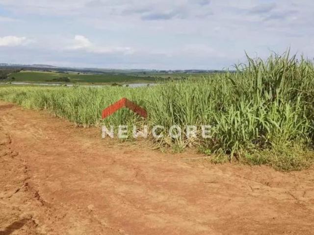 Sítio e chácara venda em Região Imediata de Avaré, Avaré