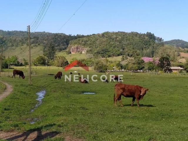 Sítio e chácara venda em Região Geográfica Imediata de Taquara - Parobé - Igrejinha, Região Metropolitana de Porto Alegre