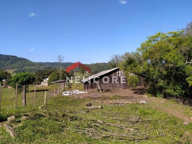 Sítio e chácara venda em Taquara