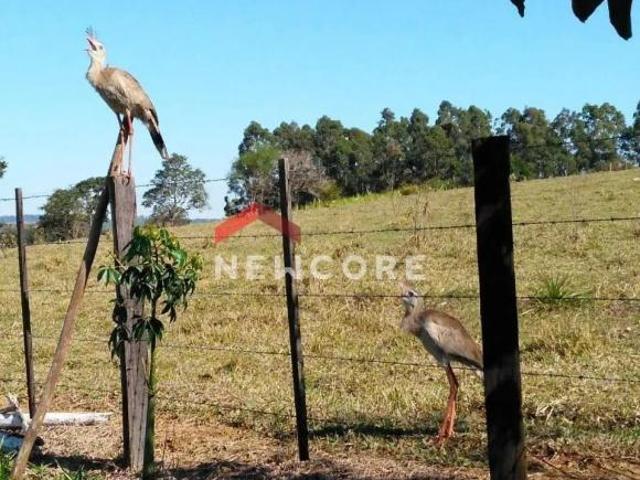 Sítio e chácara venda em Angatuba