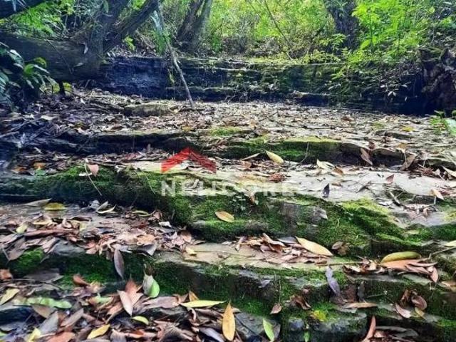Sítio e chácara venda em Região Imediata de Itapetininga, Angatuba