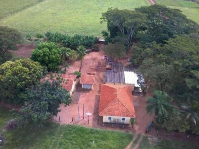Sítio e chácara venda em Região Imediata de Santa Fé do Sul, Rubineia