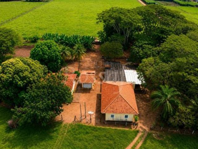 Sítio e chácara venda em Região Imediata de Santa Fé do Sul, Rubineia