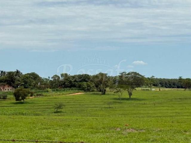 Sítio e chácara venda em Região Imediata de Santa Fé do Sul, Rubineia