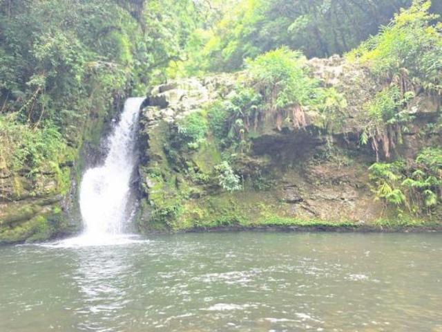 Sítio e chácara venda em São Francisco de Paula