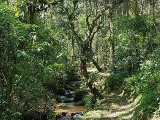 Sítio e chácara venda em Região Imediata de São José dos Campos, Região Metropolitana do Vale do Paraíba e Litoral Norte
