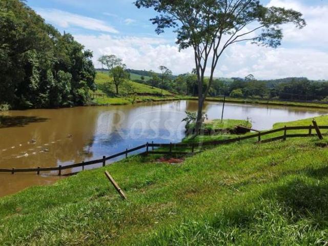 Sítio e chácara venda em Região Imediata de São João da Boa Vista, São João da Boa Vista
