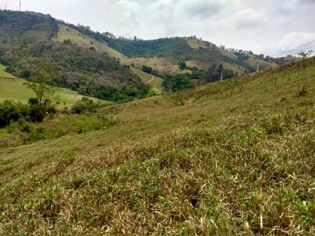 Sítio e chácara venda em Região Geográfica Imediata de São Lourenço, São Lourenço