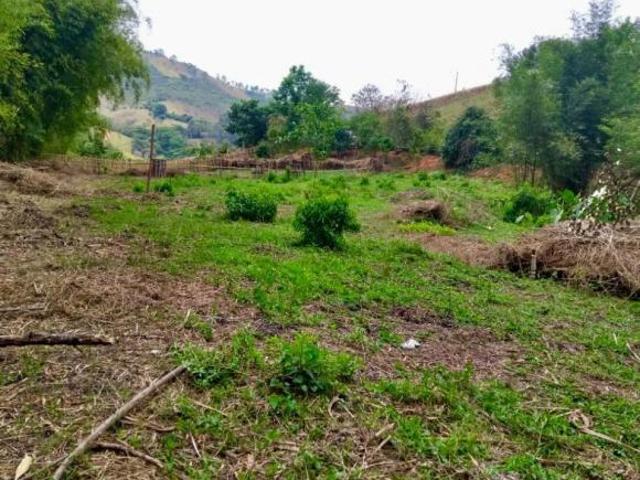 Sítio e chácara venda em Região Geográfica Imediata de São Lourenço, São Lourenço