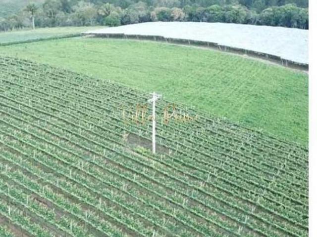 Sítio e chácara venda em São Miguel Arcanjo