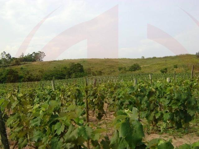 Sítio e chácara venda em CDHU, Itupeva