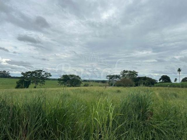 Sítio e chácara venda em Região Imediata de Santa Fé do Sul, Rubineia