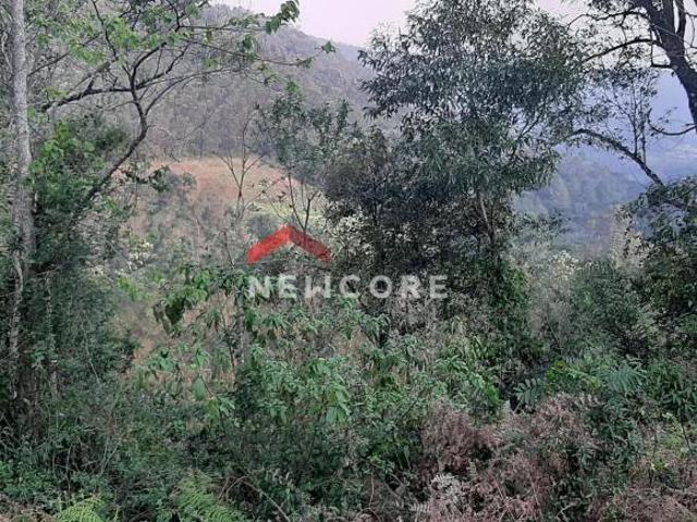 Sítio e chácara venda em Região Geográfica Imediata de Novo Hamburgo - São Leopoldo, Santa Maria do Herval